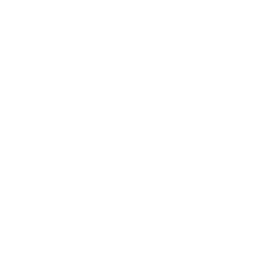 Foot Orthotics