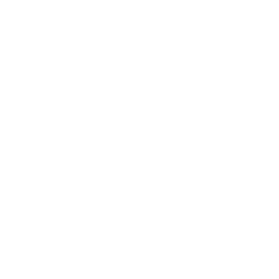 MVA Rehabilitation