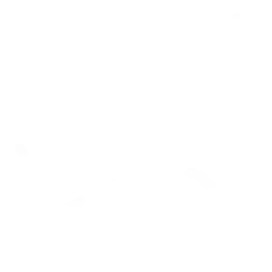 Pedorthic Treatment